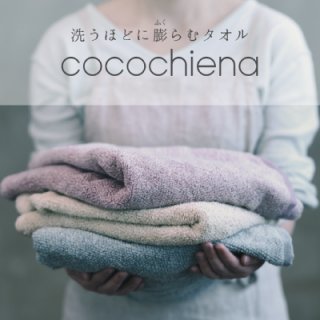 タオル】「cocochiena ココチエナ BT / FT」 洗うほどに膨らむタオル