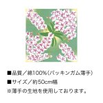 画像4: [浅山美里：小ふろしき] 「胡蝶蘭」約50cm幅 綿100% 日本製 小風呂敷 (4)